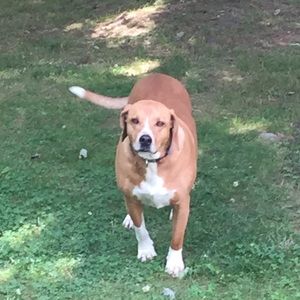 Meet your Posher, Jamie